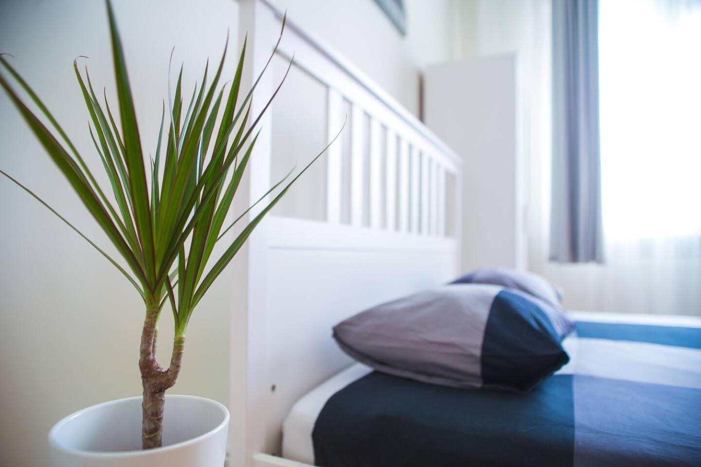 Franceza Street 3bedroom * Bucharest